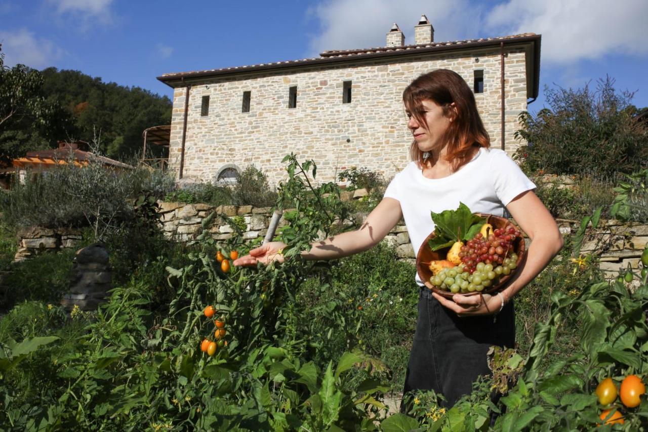 Agriturismo Biologico Autosufficienza Bagno di Romagna Exterior foto